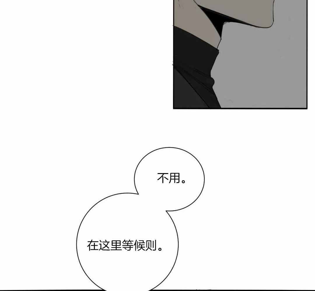 《狂犬(第二季更新)》第65话 第16页