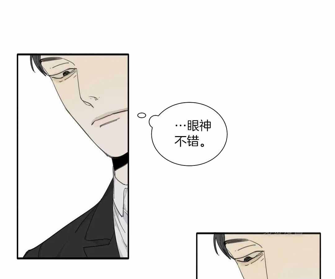 《狂犬(第二季更新)》第65话 第1页