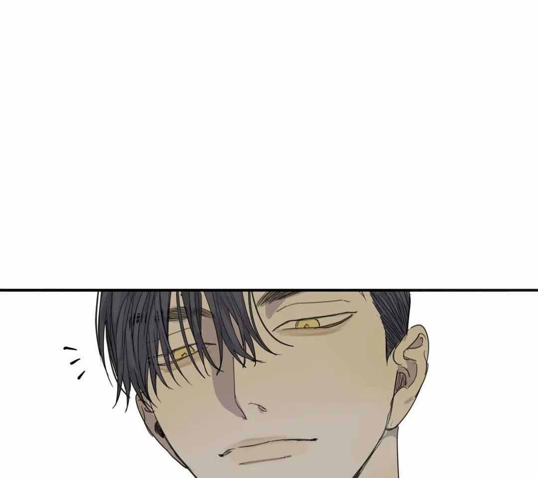 《狂犬(第二季更新)》第65话 第38页