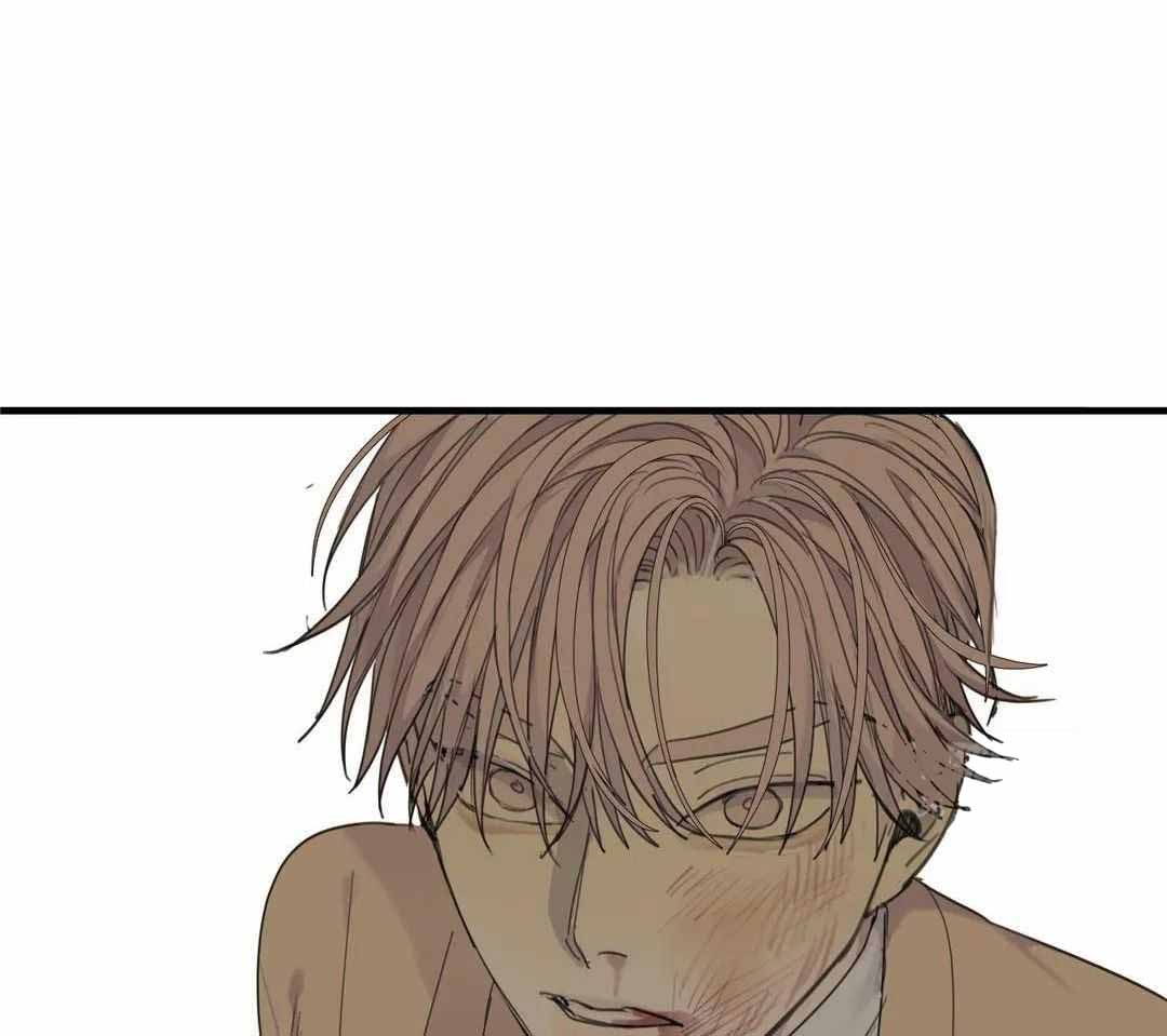 《狂犬(第二季更新)》第65话 第41页