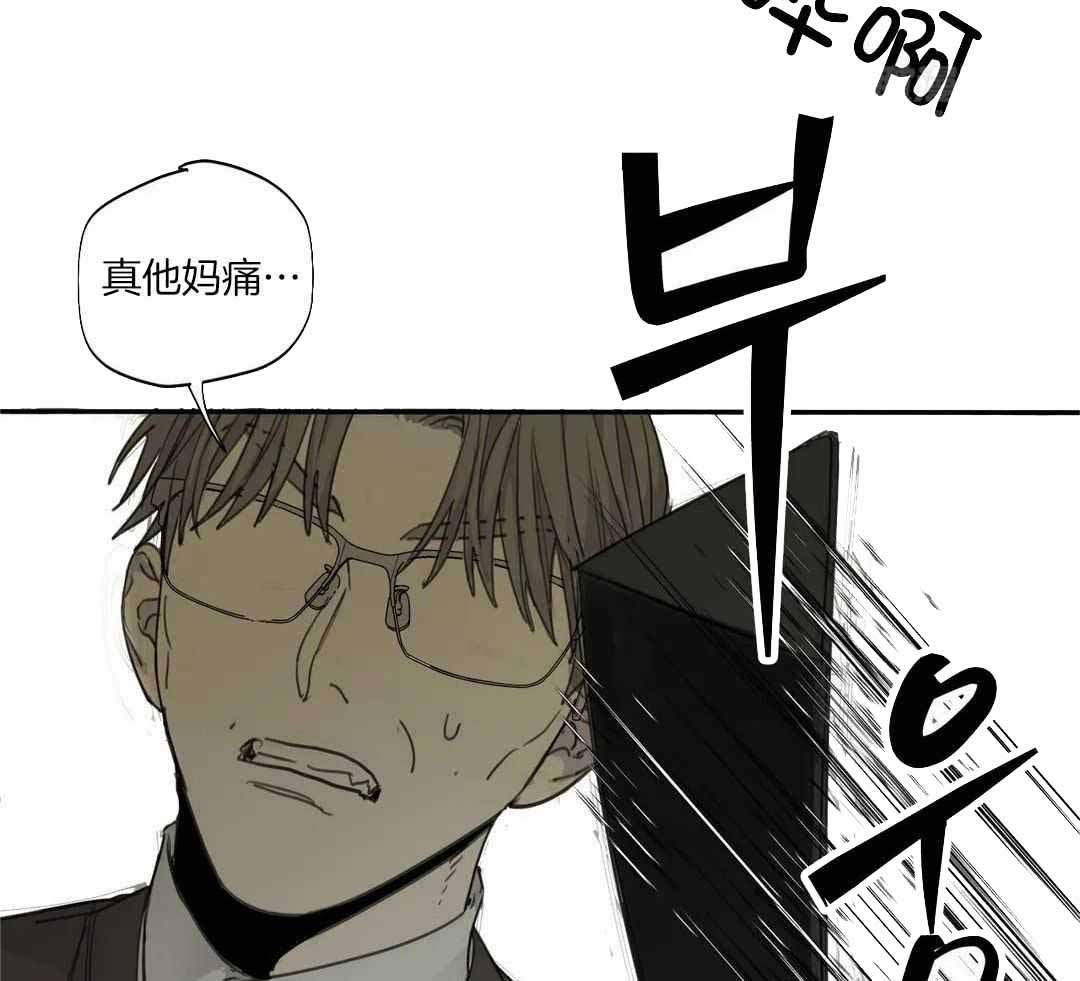《狂犬(第二季更新)》第63话 第29页