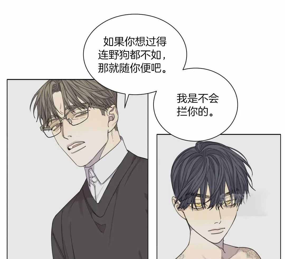 《狂犬(第二季更新)》第62话 第31页