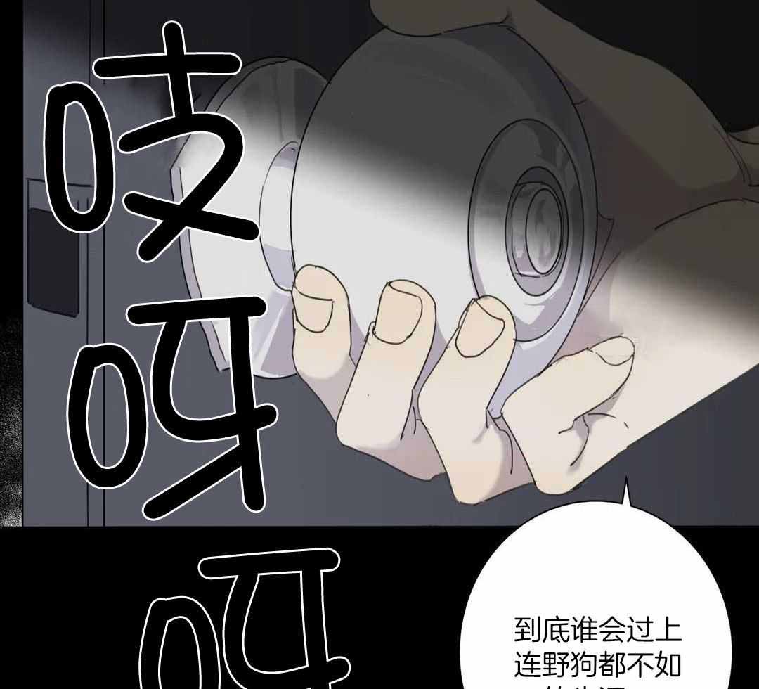 《狂犬(第二季更新)》第62话 第40页
