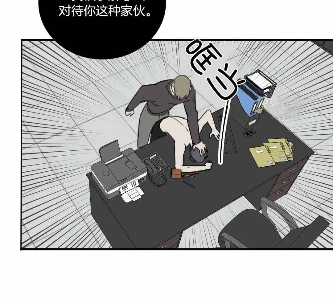 《狂犬(第二季更新)》第62话 第48页