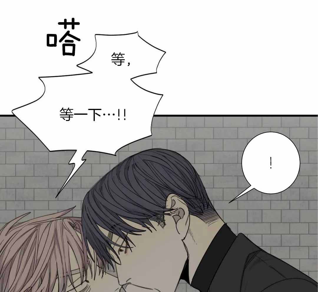 《狂犬(第二季更新)》第66话 第12页