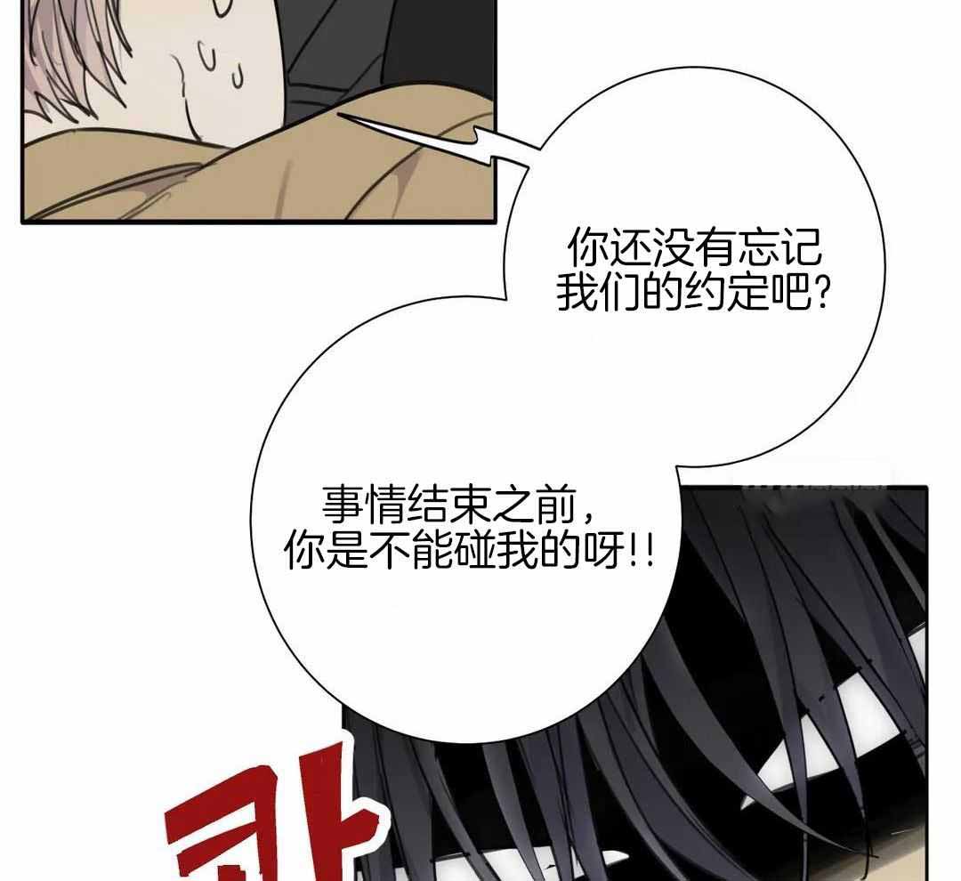 《狂犬(第二季更新)》第66话 第15页