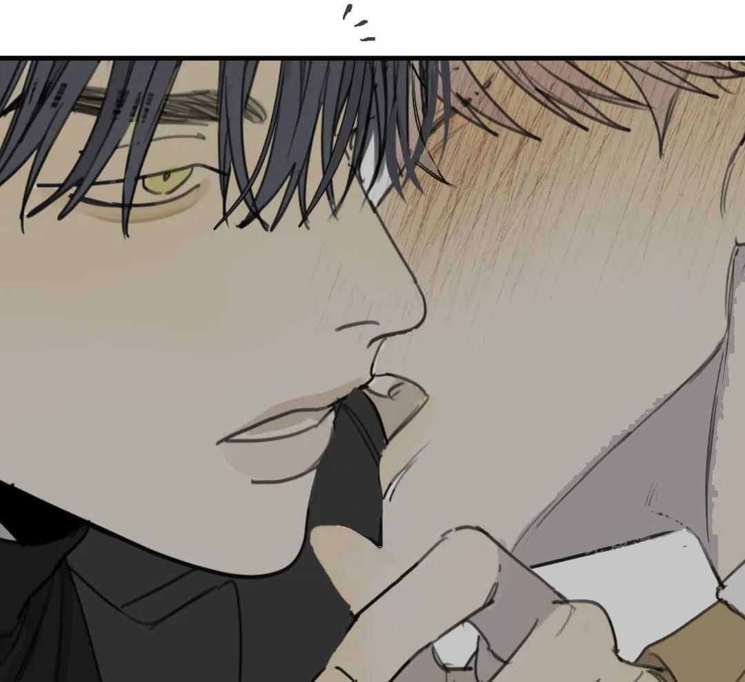 《狂犬(第二季更新)》第66话 第31页