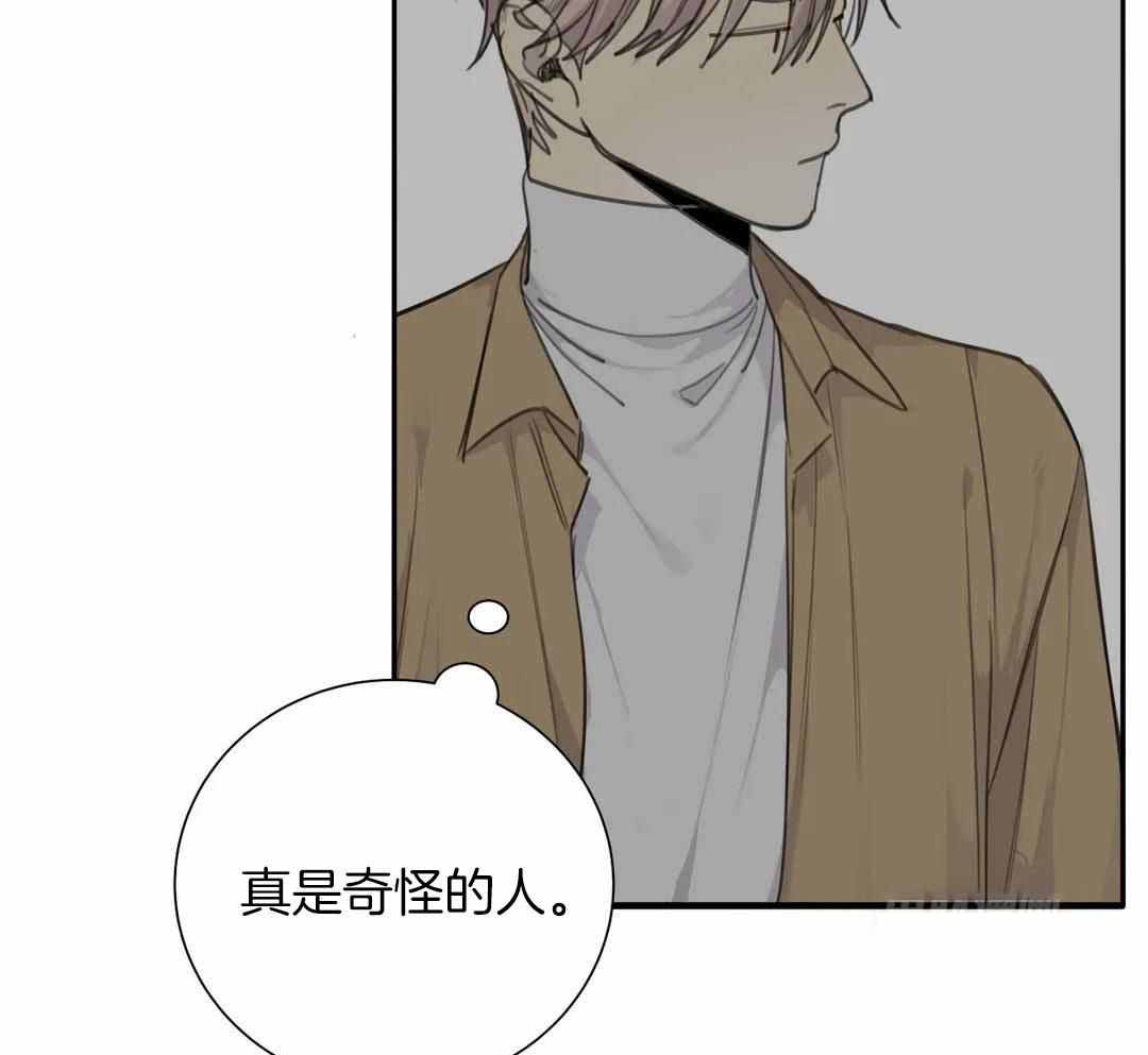 《狂犬(第二季更新)》第67话 第31页