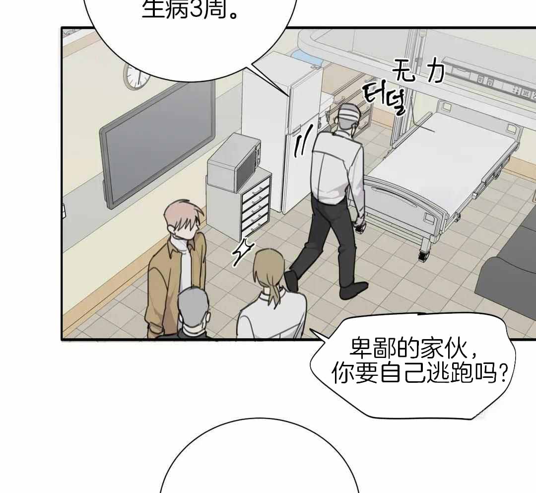 《狂犬(第二季更新)》第67话 第39页