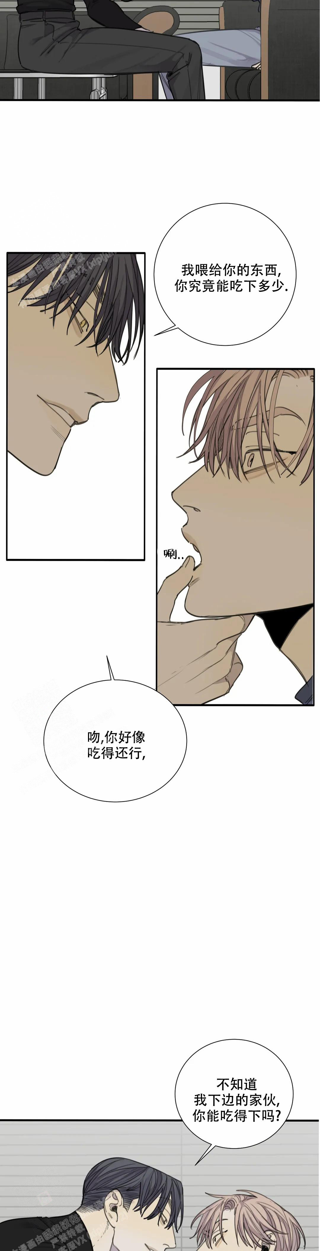 《狂犬(第二季更新)》第71话 第5页
