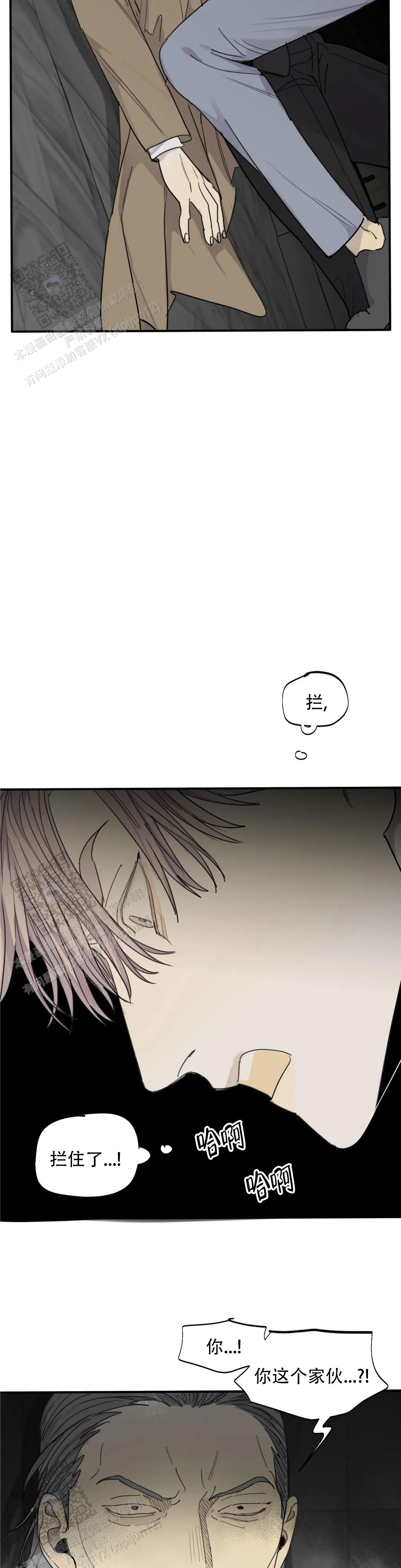 《狂犬(第二季更新)》第96话 第8页
