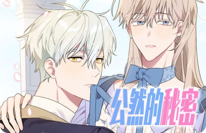 《公然的秘密（完结）》漫画封面图 - tl漫画