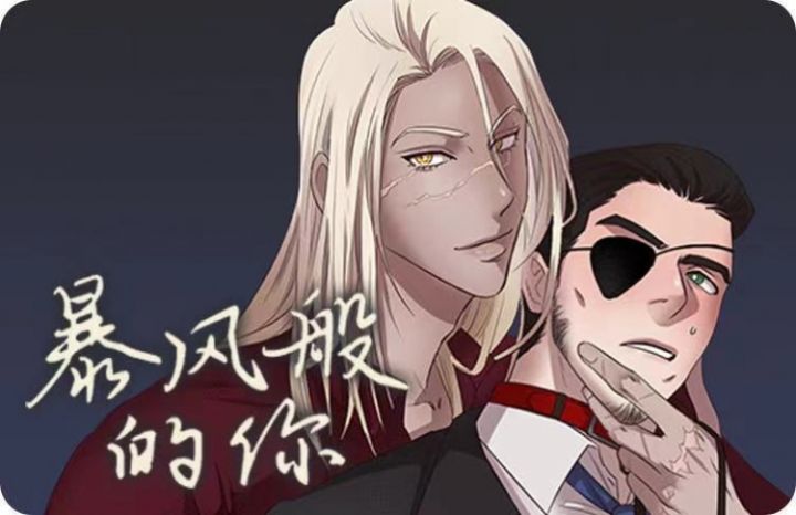 《暴风般的你（完结）》漫画封面图 - tl漫画
