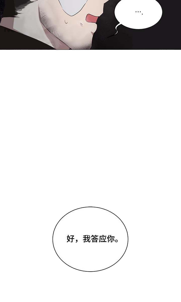 《暴风般的你（完结）》第14话 第5页