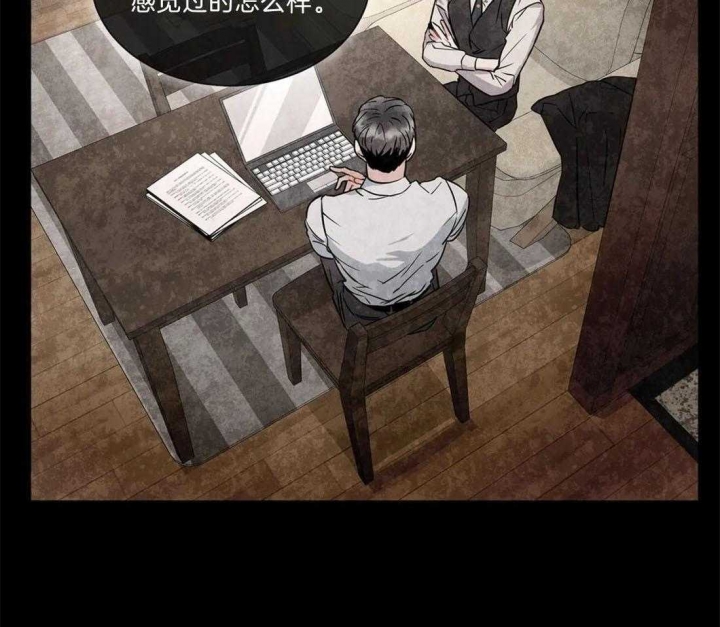 《癫狂之境(I II季)》第40话 第13页