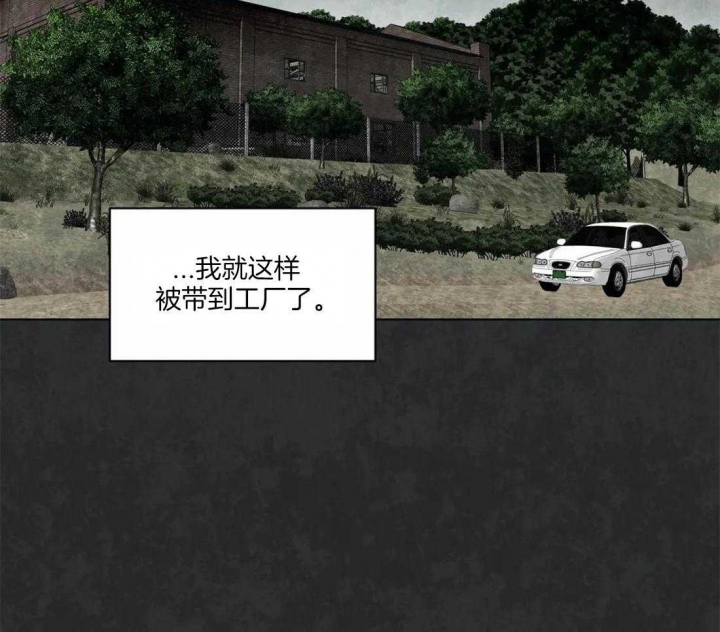《癫狂之境(I II季)》第51话 第49页