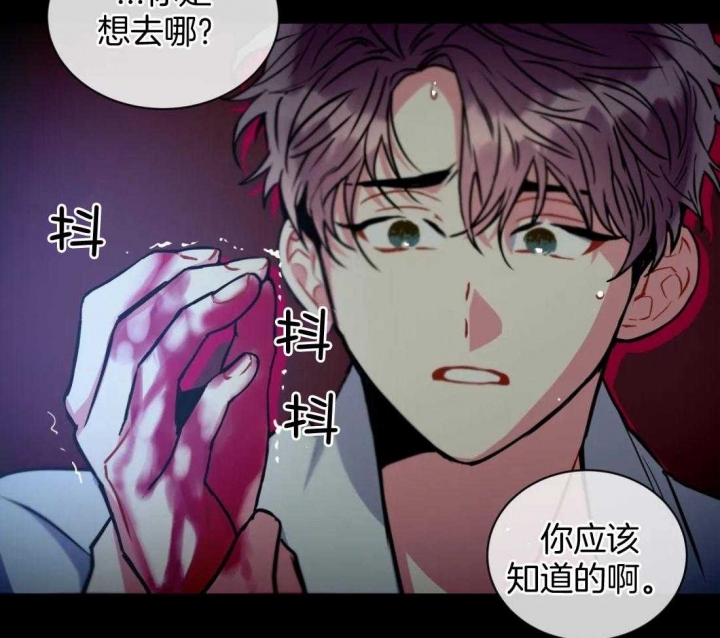 《癫狂之境(I II季)》第87话 第12页
