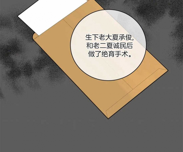 《癫狂之境(I II季)》第96话 第29页