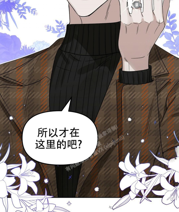 《吻我骗子(I II 外传)》第146话 第5页