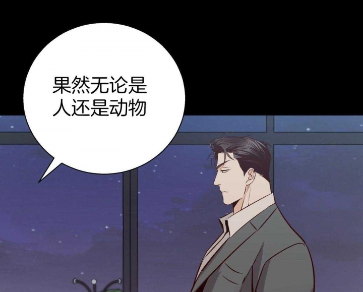 《危险的便利店(第I II季)》第127话 第35页