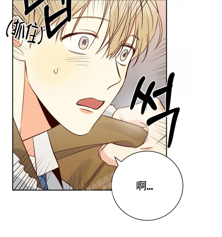 《危险的便利店(第I II季)》第137话 第17页