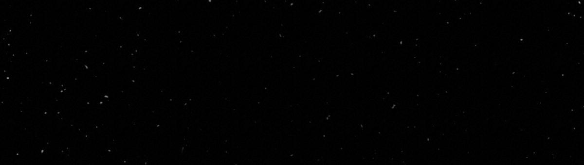 《危险的便利店(第I II季)》第202话 第45页