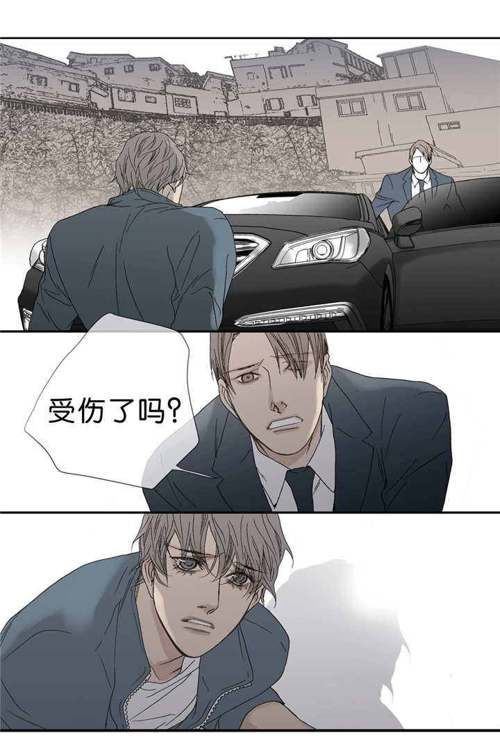 《野兽都该死》第51话 第10页
