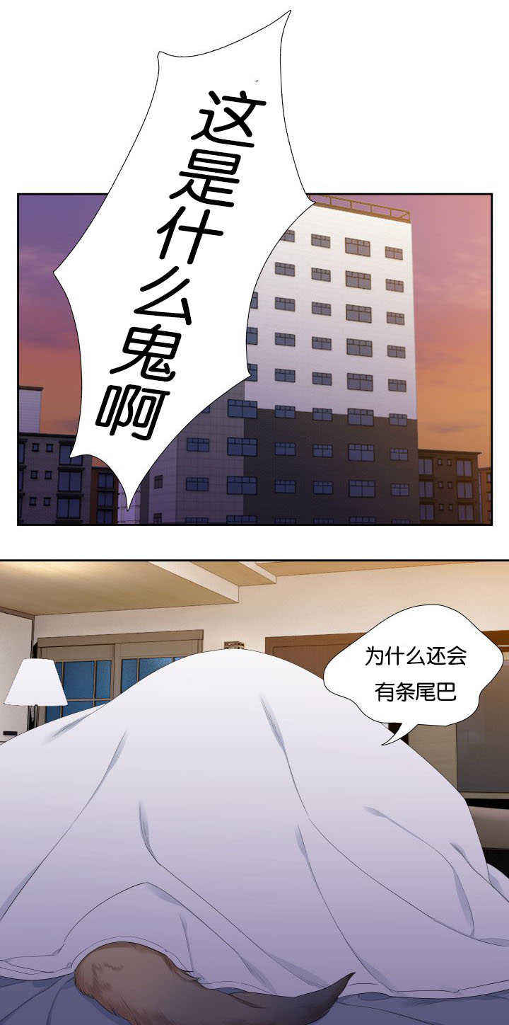 《狼的香气 ( I II季)》第32话 第4页