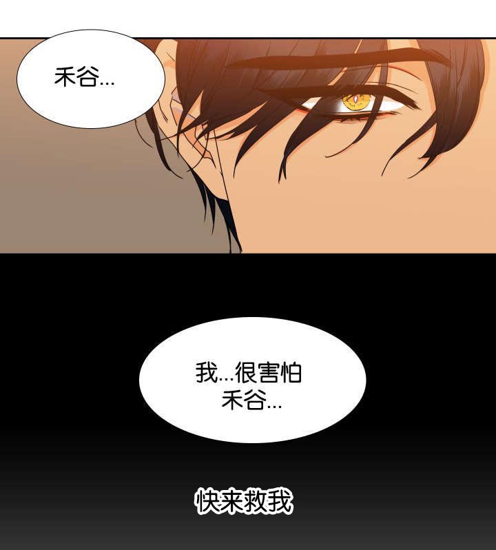 《狼的香气 ( I II季)》第78话 第13页