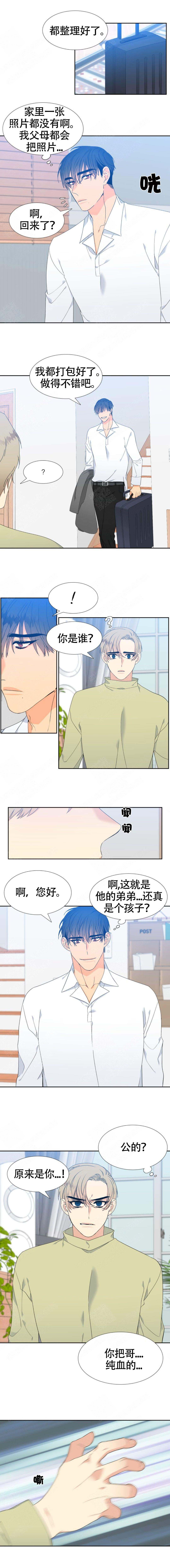 《狼的香气 ( I II季)》第141话 第1页