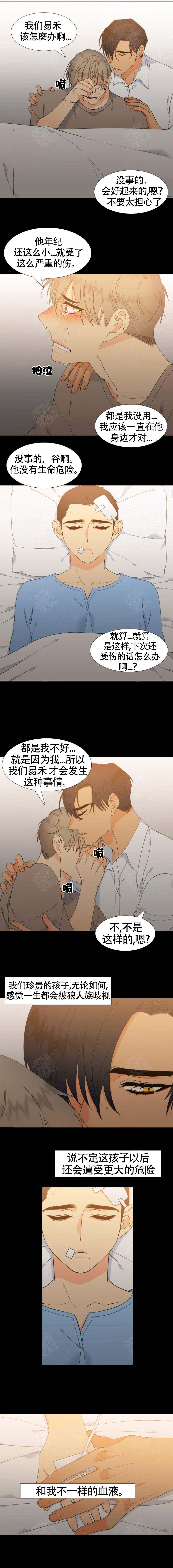 《狼的香气 ( I II季)》第142话 第2页