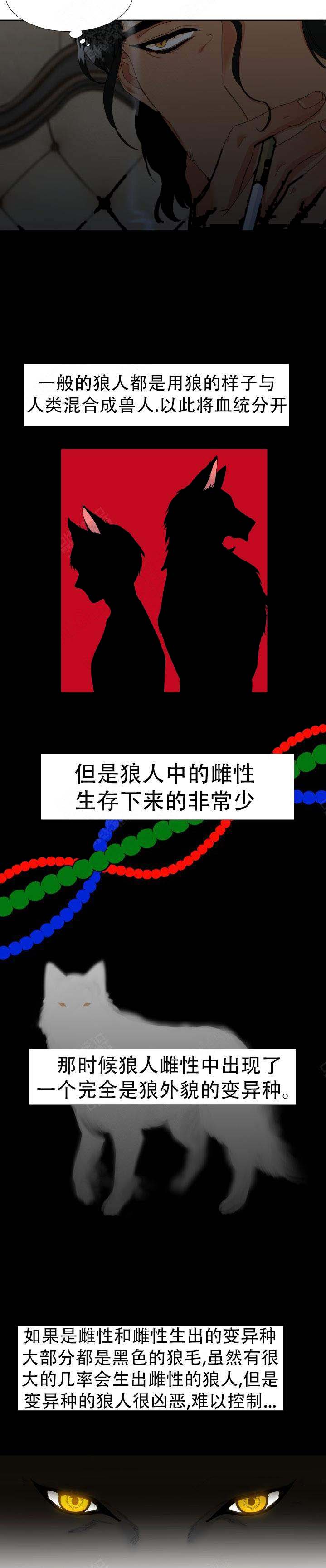 《狼的香气 ( I II季)》第154话 第5页