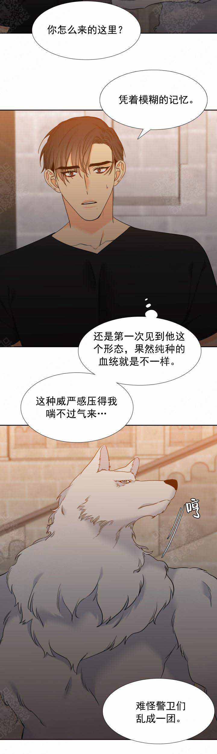 《狼的香气 ( I II季)》第202话 第5页