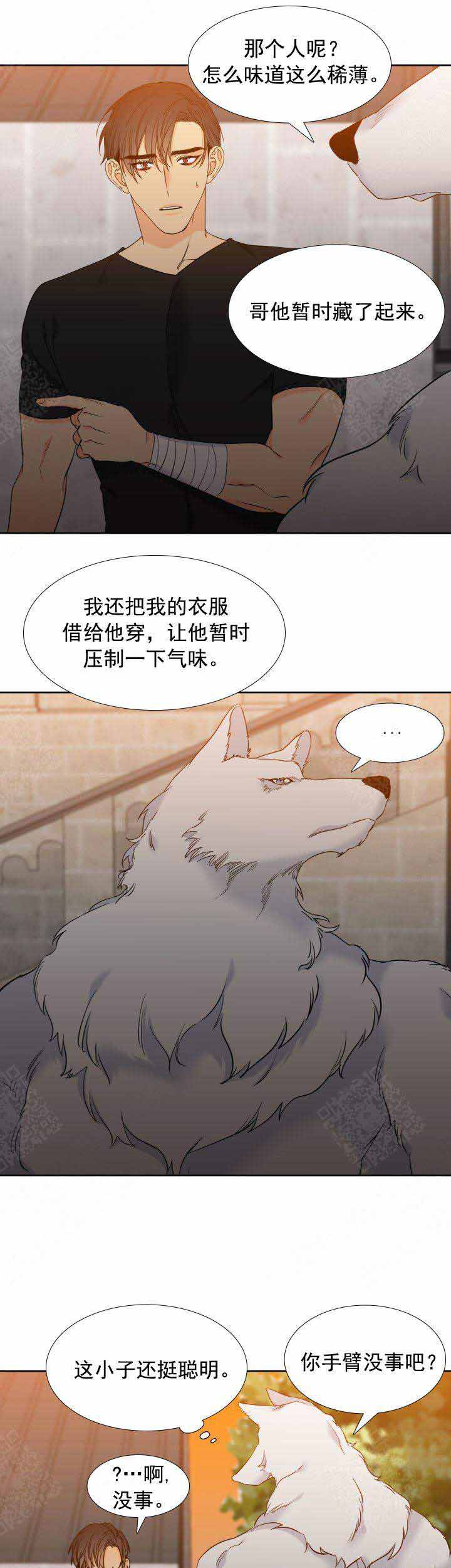 《狼的香气 ( I II季)》第202话 第6页