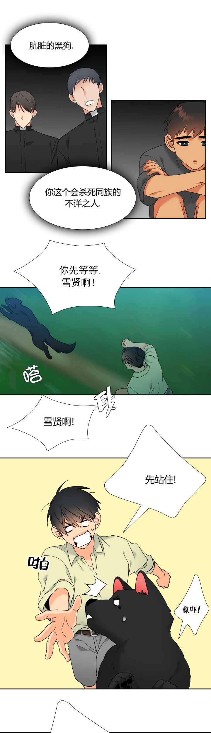 《狼的香气 ( I II季)》第224话 第11页