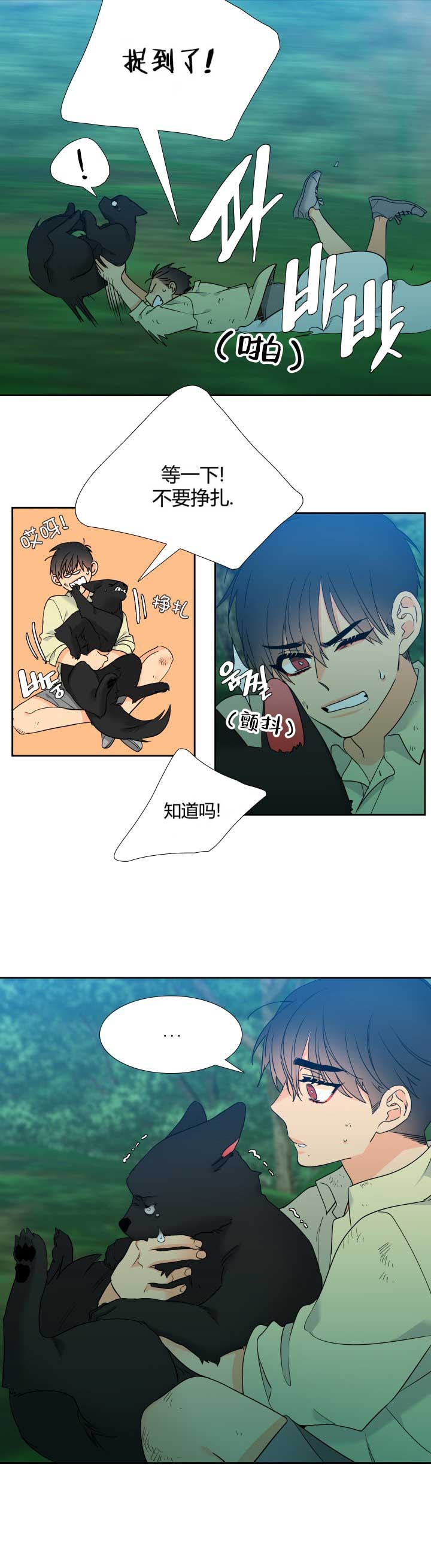 《狼的香气 ( I II季)》第224话 第12页