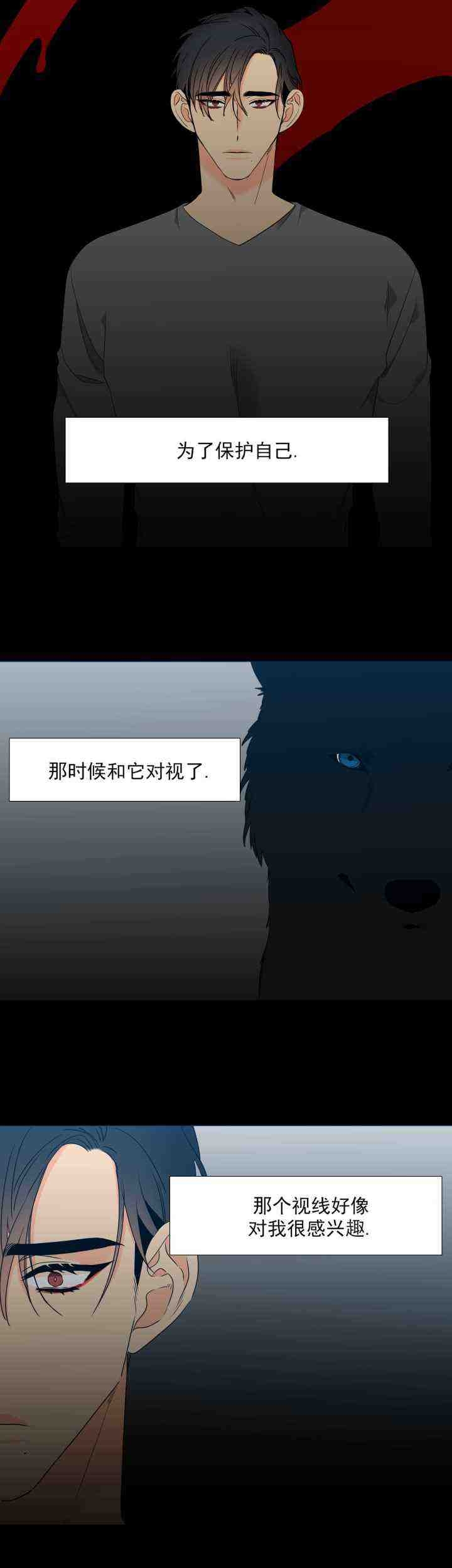 《狼的香气 ( I II季)》第226话 第3页
