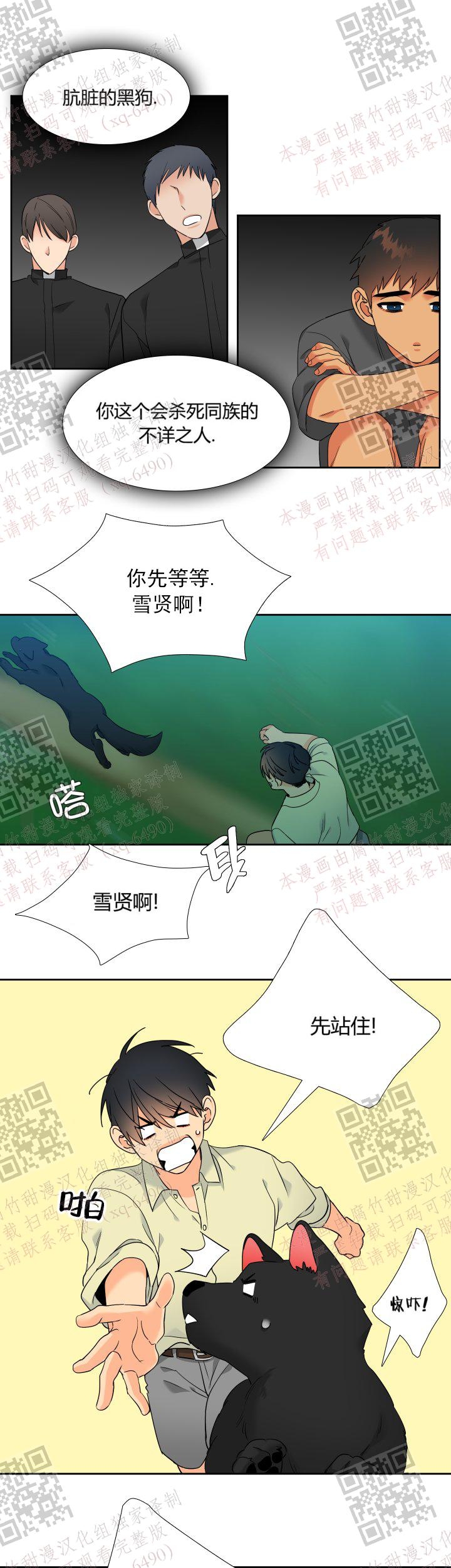 《狼的香气 ( I II季)》第233话 第11页