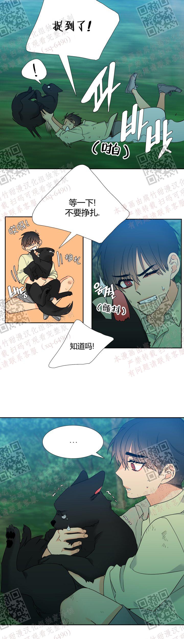 《狼的香气 ( I II季)》第233话 第12页