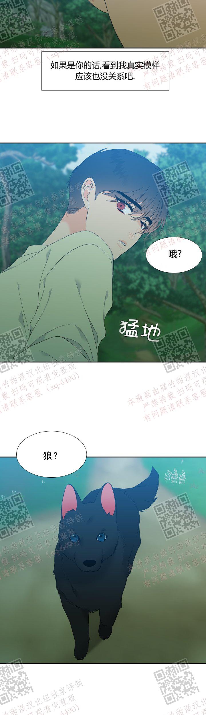 《狼的香气 ( I II季)》第233话 第8页