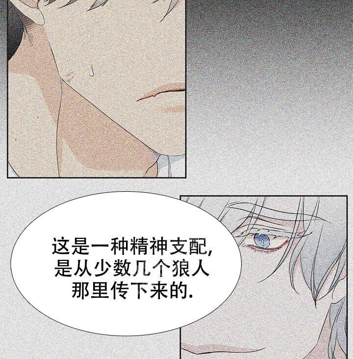《狼的香气 ( I II季)》第242话 第6页