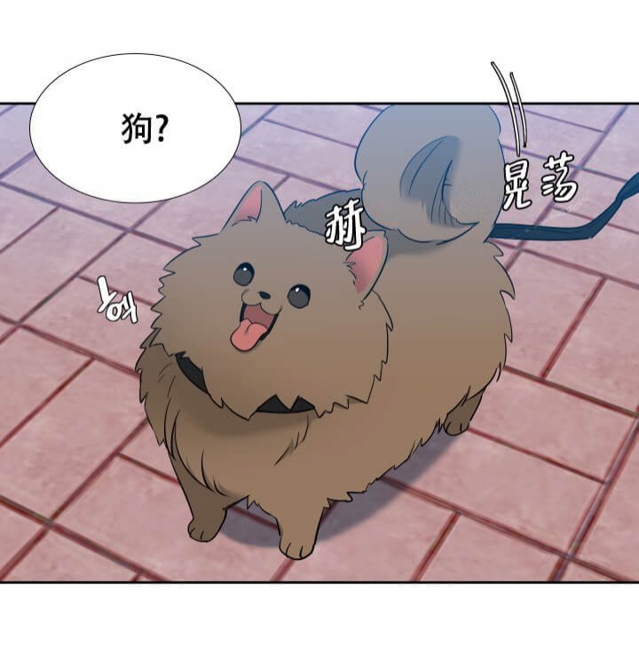 《狼的香气 ( I II季)》第256话 第5页