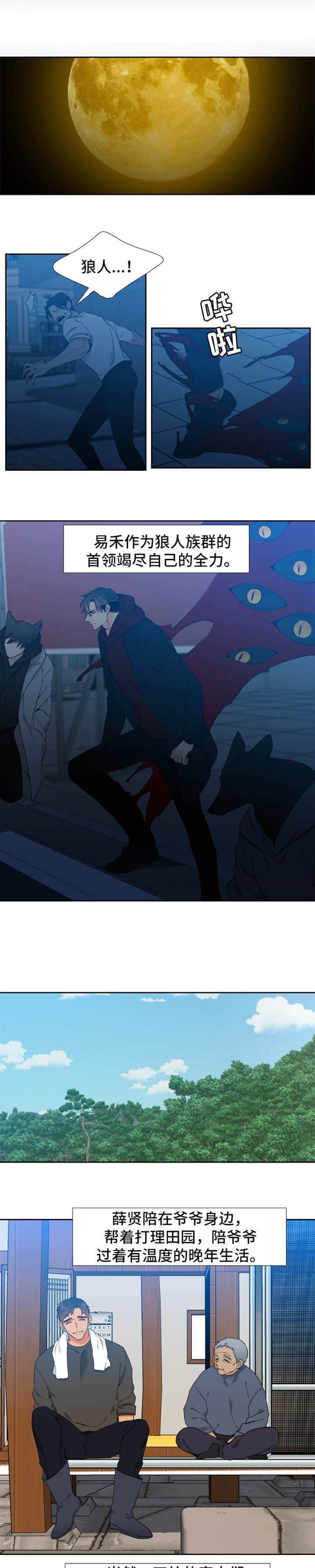 《狼的香气 ( I II季)》第267话 第1页