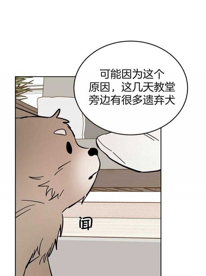 《十字路口的恶魔》第24话 第4页