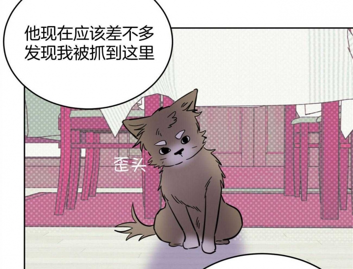 《十字路口的恶魔》第31话 第17页