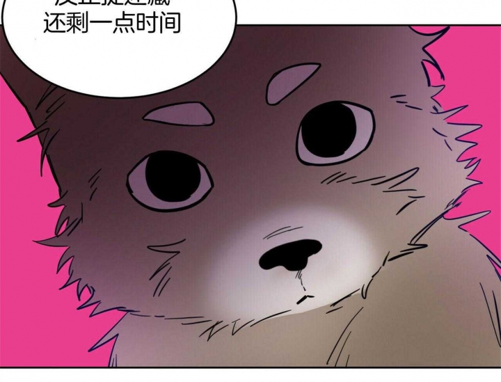 《十字路口的恶魔》第31话 第19页