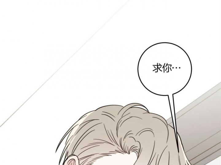 《十字路口的恶魔》第37话 第11页