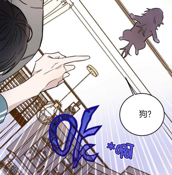 《十字路口的恶魔》第37话 第46页