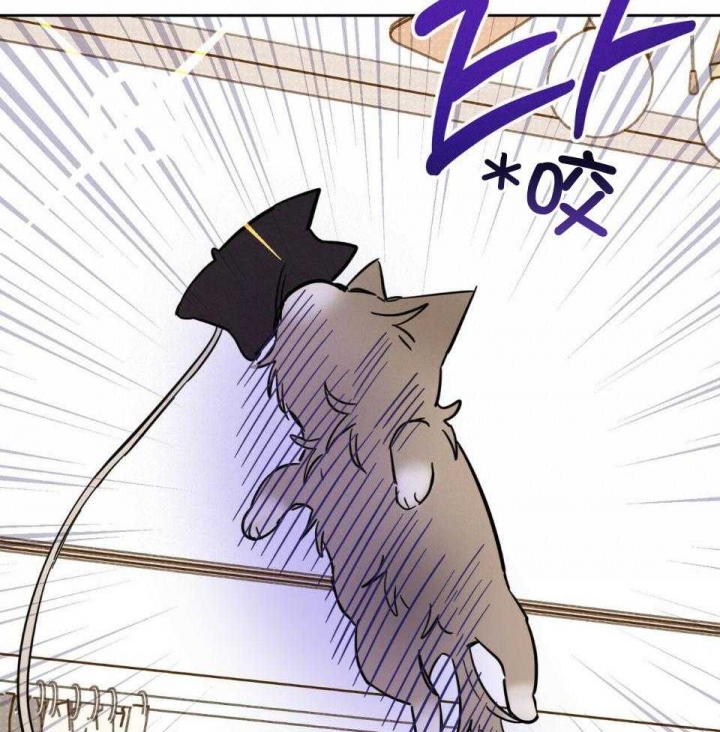 《十字路口的恶魔》第37话 第56页