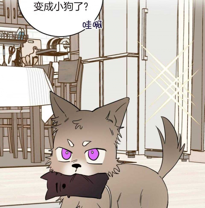 《十字路口的恶魔》第37话 第58页